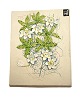 Hvidt relief med hvide blomster, Jie